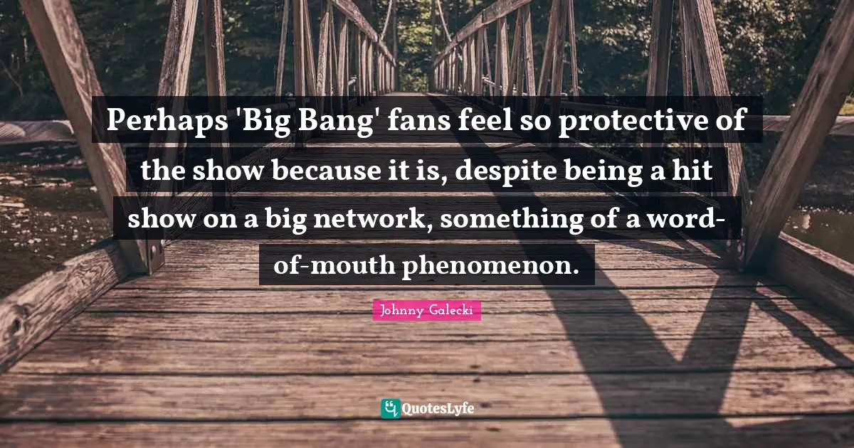 Perhaps 'Big Bang' fans feel so protective of the show because it is, despite being a hit show on a big network, something of a word-of-mouth phenomenon.