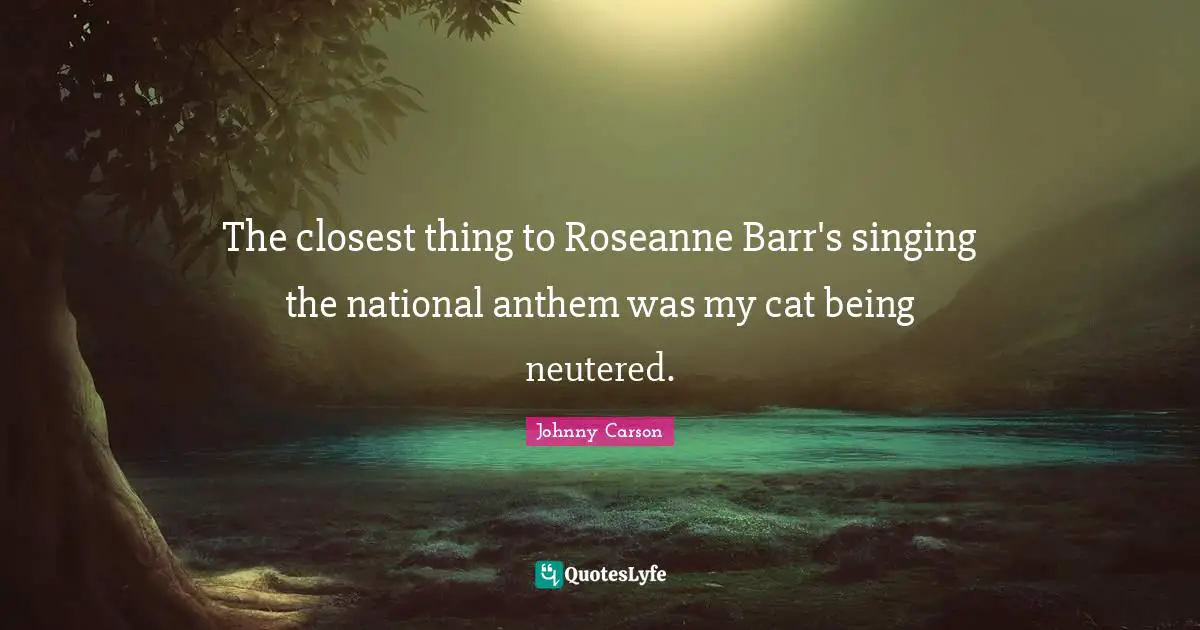 The closest thing to Roseanne Barr's singing the national anthem was my cat being neutered.