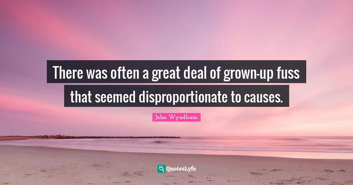 There was often a great deal of grown-up fuss that seemed disproportionate to causes.