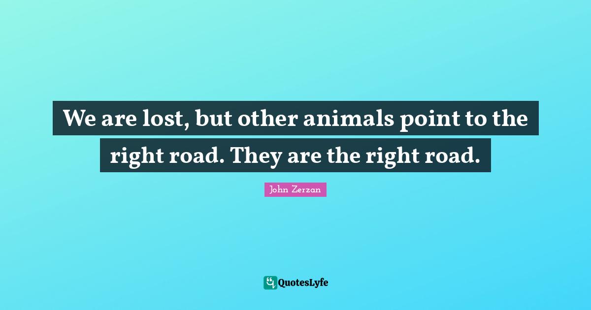 We are lost, but other animals point to the right road. They are the right road.