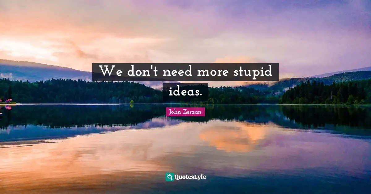 We don't need more stupid ideas.