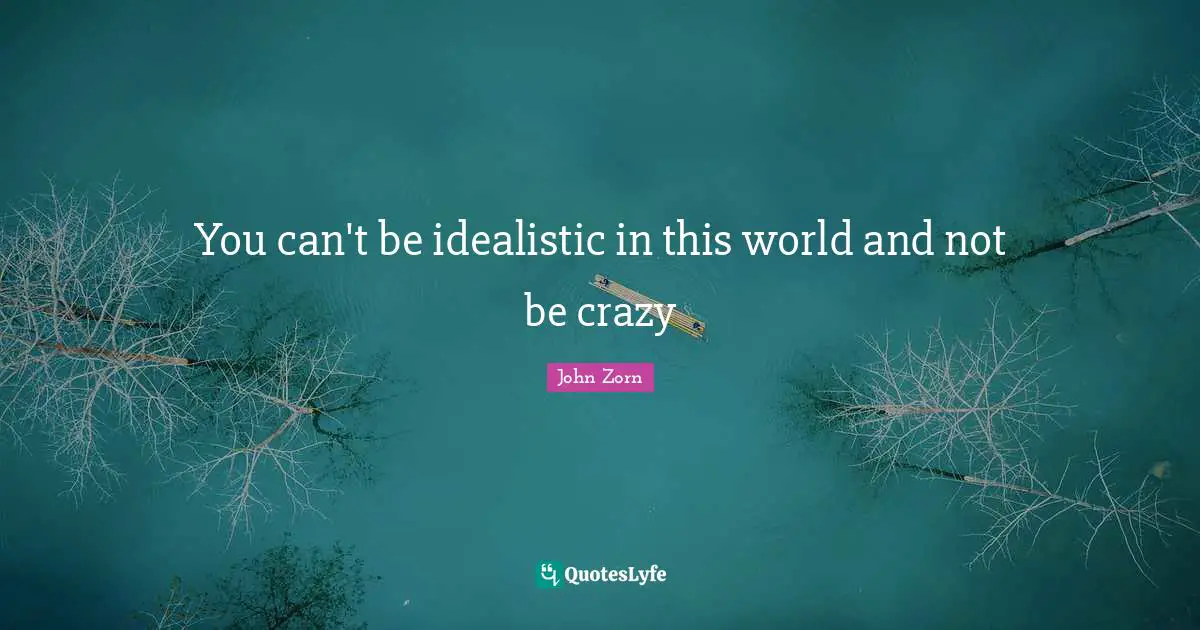 You can't be idealistic in this world and not be crazy