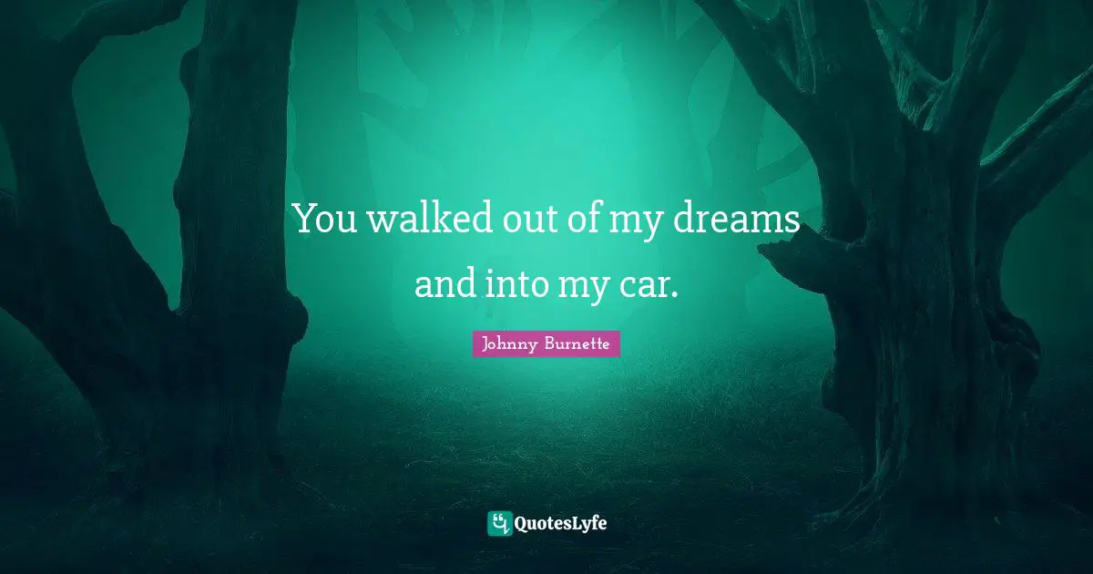 You walked out of my dreams and into my car.