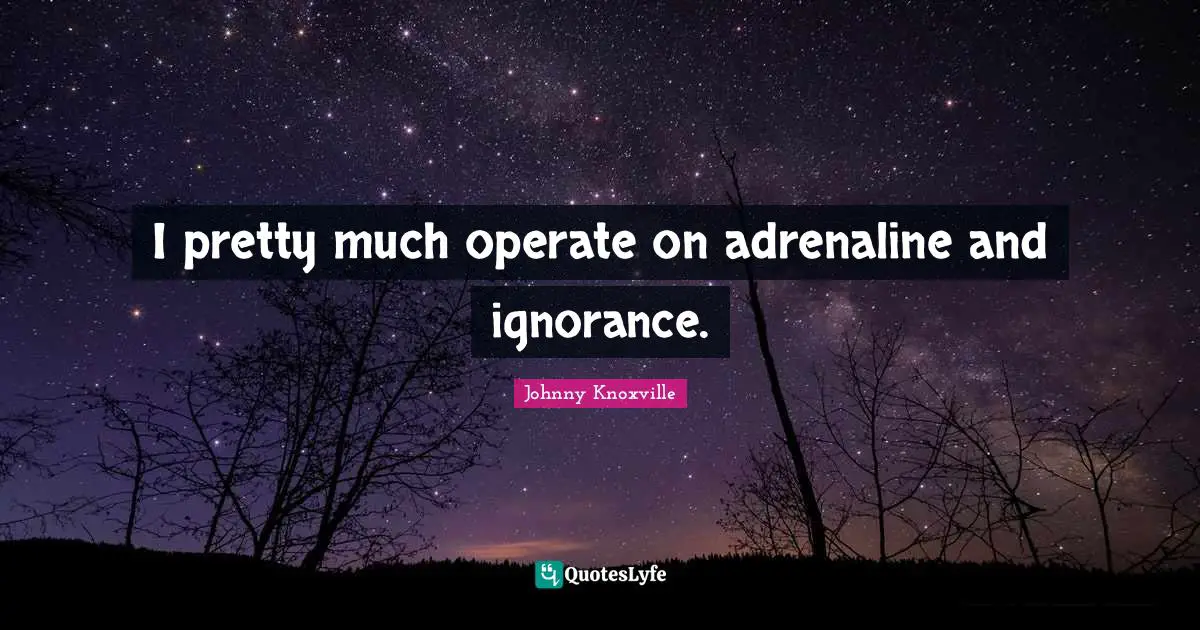 I pretty much operate on adrenaline and ignorance.