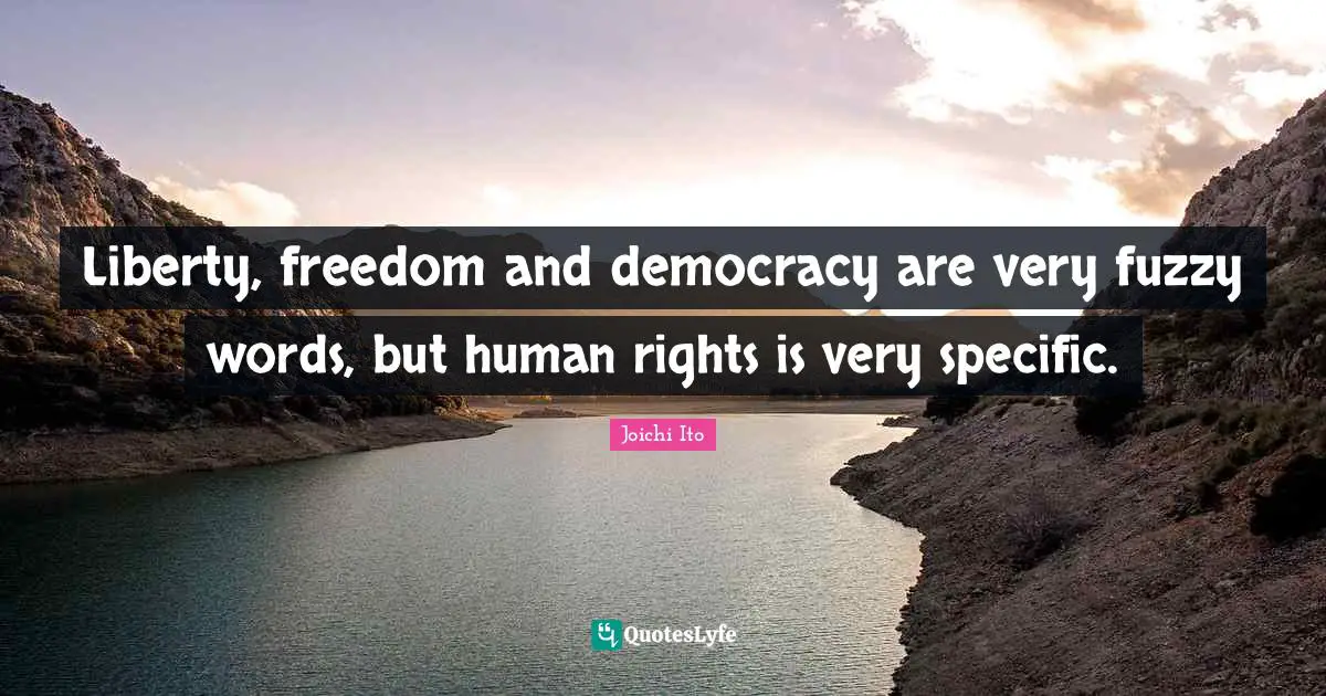 Joichi Ito Quotes: "Liberty, freedom and democracy are very fuzzy words, but human rights is very specific."