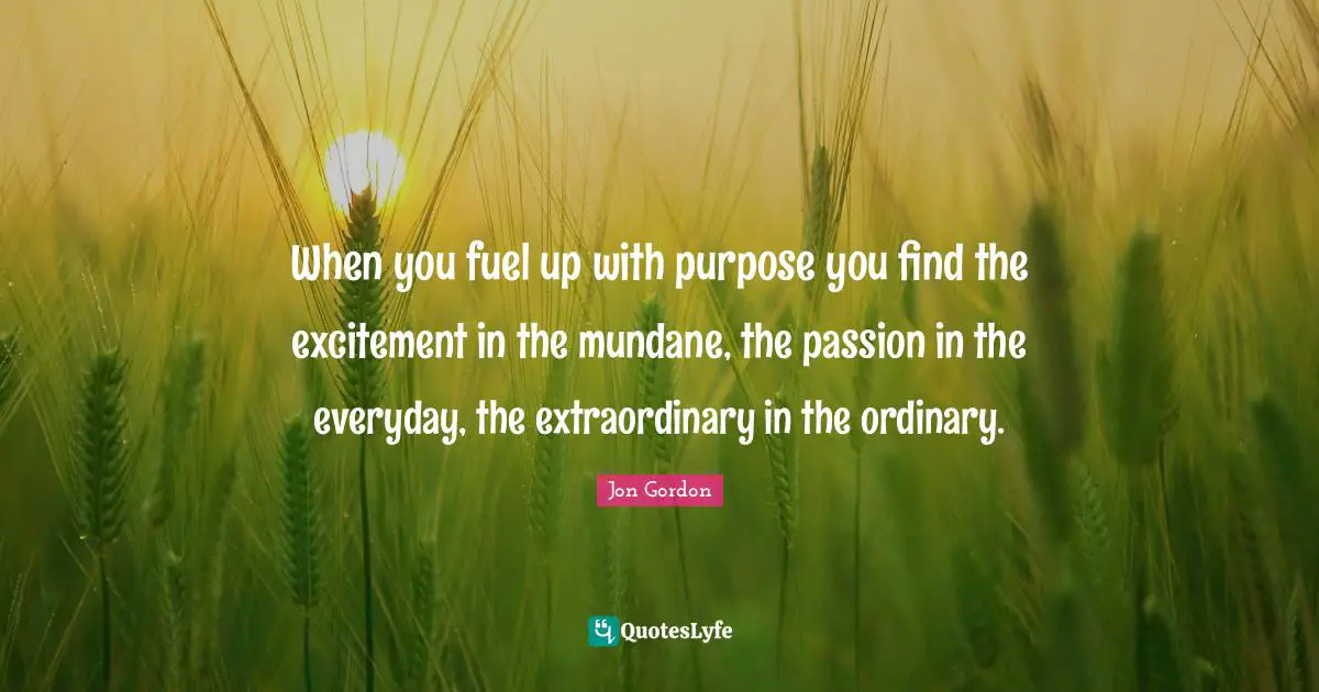 Jon Gordon Quotes: "When you fuel up with purpose you find the excitement in the mundane, the passion in the everyday, the extraordinary in the ordinary."