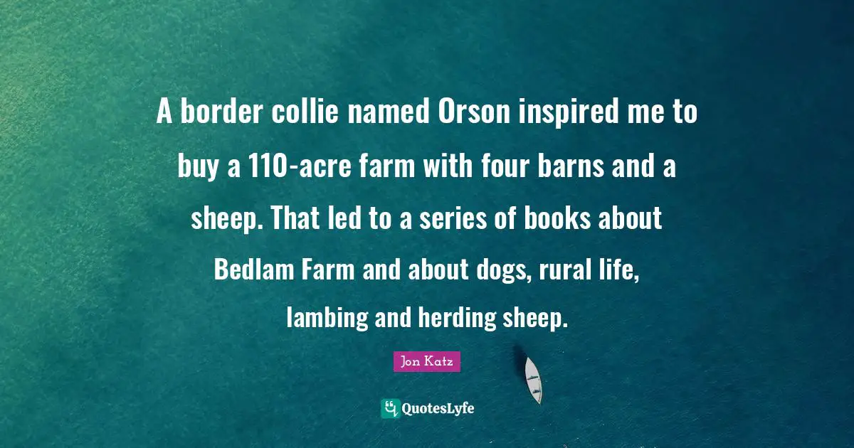 A border collie named Orson inspired me to buy a 110-acre farm with four barns and a sheep. That led to a series of books about Bedlam Farm and about dogs, rural life, lambing and herding sheep.