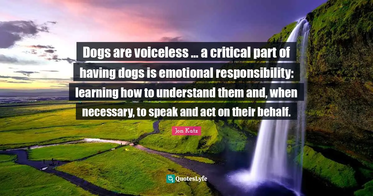 Dogs are voiceless ... a critical part of having dogs is emotional responsibility: learning how to understand them and, when necessary, to speak and act on their behalf.