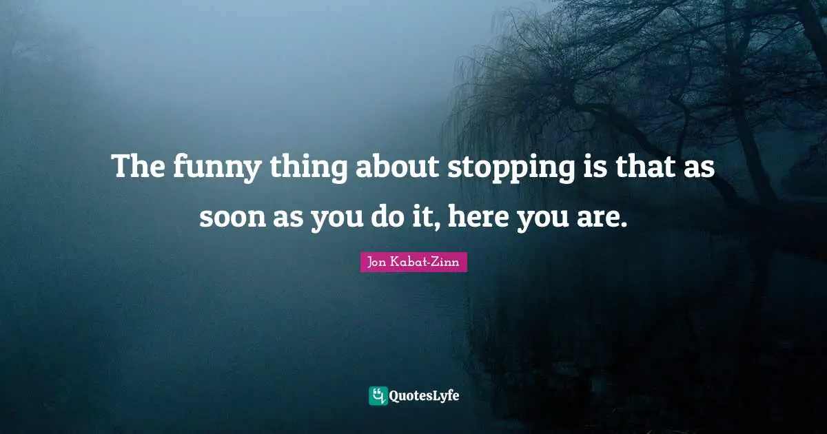 The funny thing about stopping is that as soon as you do it, here you are.