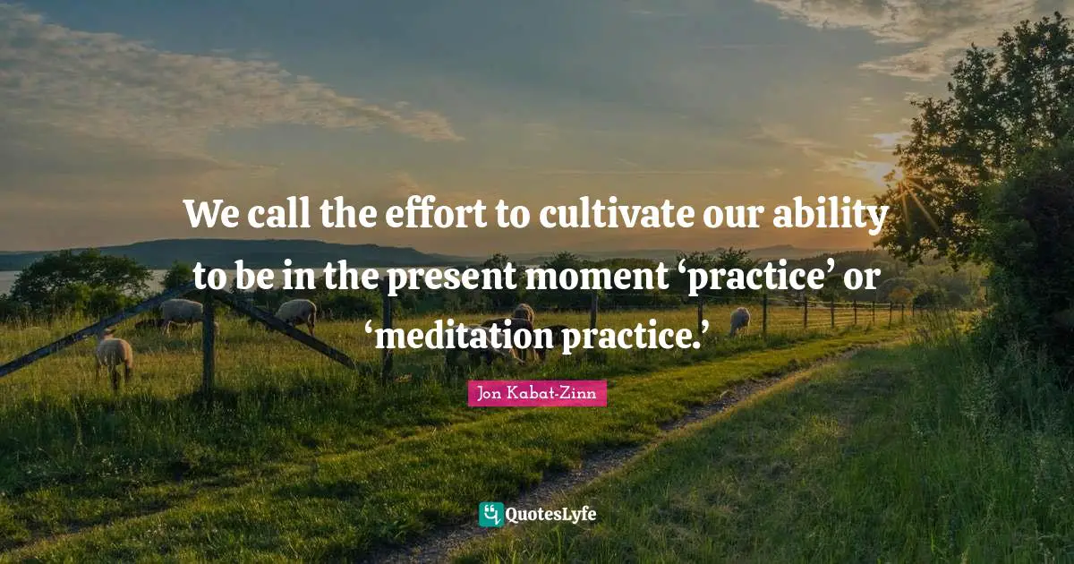 We call the effort to cultivate our ability to be in the present moment ‘practice’ or ‘meditation practice.’