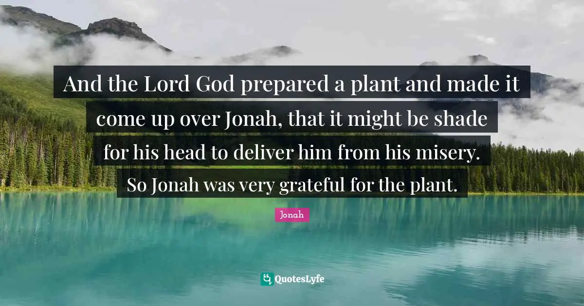 Jonah Quotes: "And the Lord God prepared a plant and made it come up over Jonah, that it might be shade for his head to deliver him from his misery. So Jonah was very grateful for the plant."