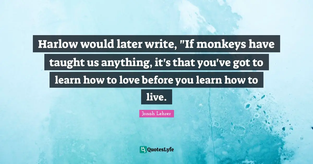 Harlow would later write, "If monkeys have taught us anything, it's that you've got to learn how to love before you learn how to live.