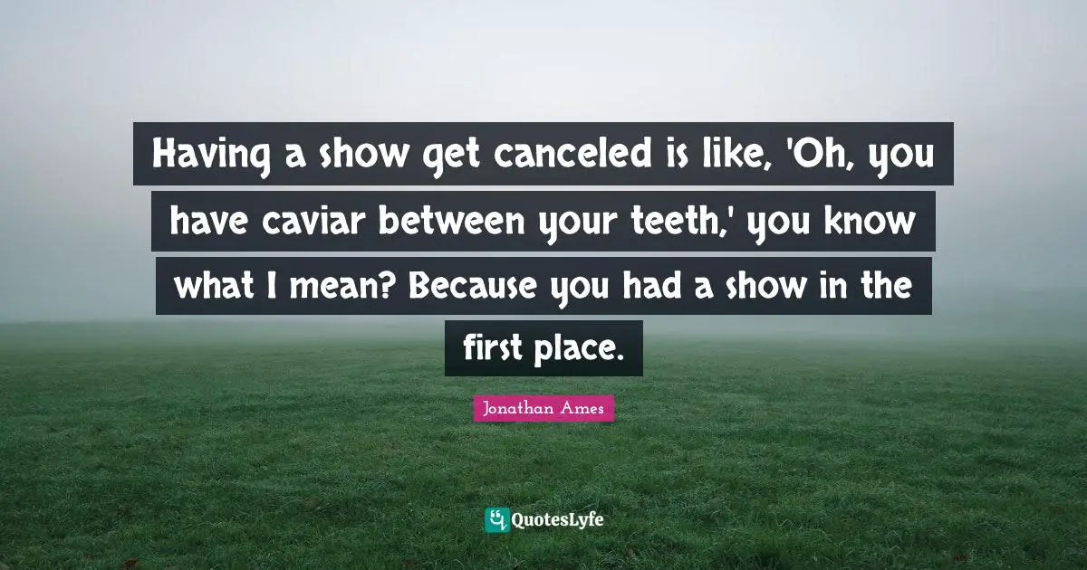 Having a show get canceled is like, 'Oh, you have caviar between your teeth,' you know what I mean? Because you had a show in the first place.