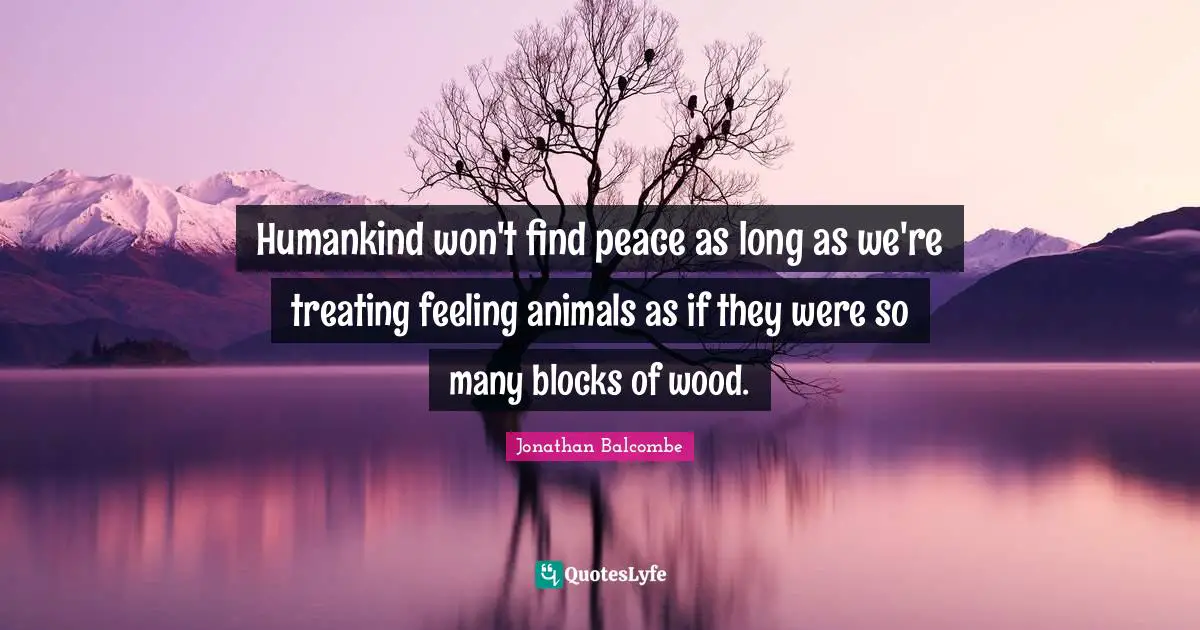 Humankind won't find peace as long as we're treating feeling animals as if they were so many blocks of wood.