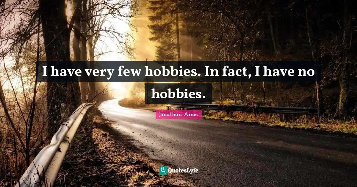 I have very few hobbies. In fact, I have no hobbies.