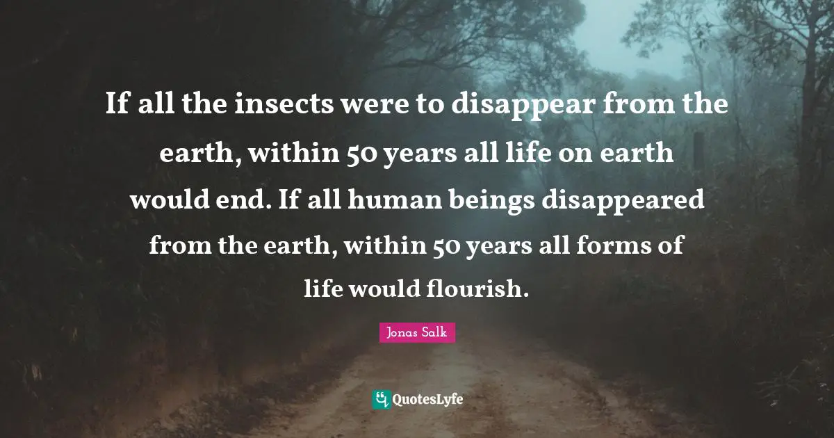Human Beings Quotes: "If all the insects were to disappear from the earth, within 50 years all life on earth would end. If all human beings disappeared from the earth, within 50 years all forms of life would flourish."