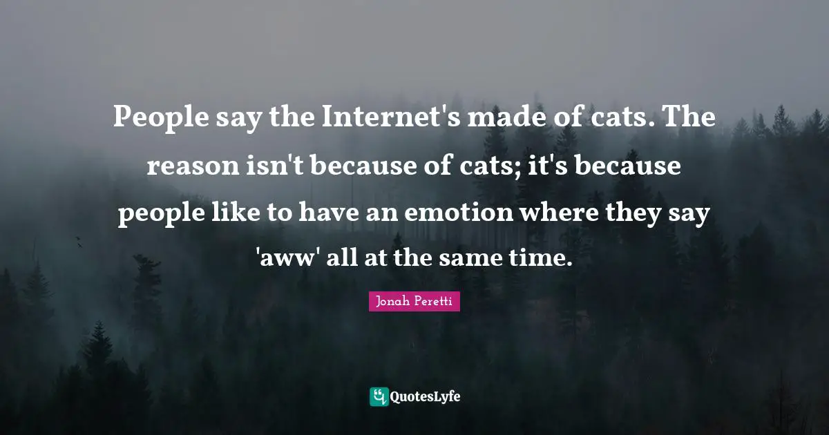 People say the Internet's made of cats. The reason isn't because of cats; it's because people like to have an emotion where they say 'aww' all at the same time.