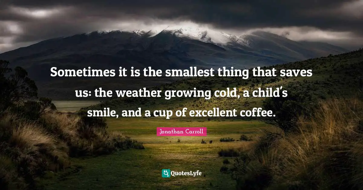 Sometimes it is the smallest thing that saves us: the weather growing cold, a child's smile, and a cup of excellent coffee.