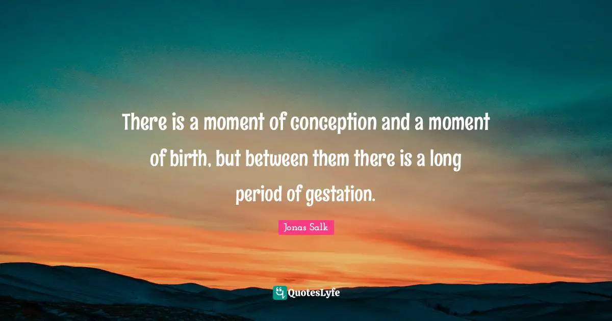There is a moment of conception and a moment of birth, but between them there is a long period of gestation.