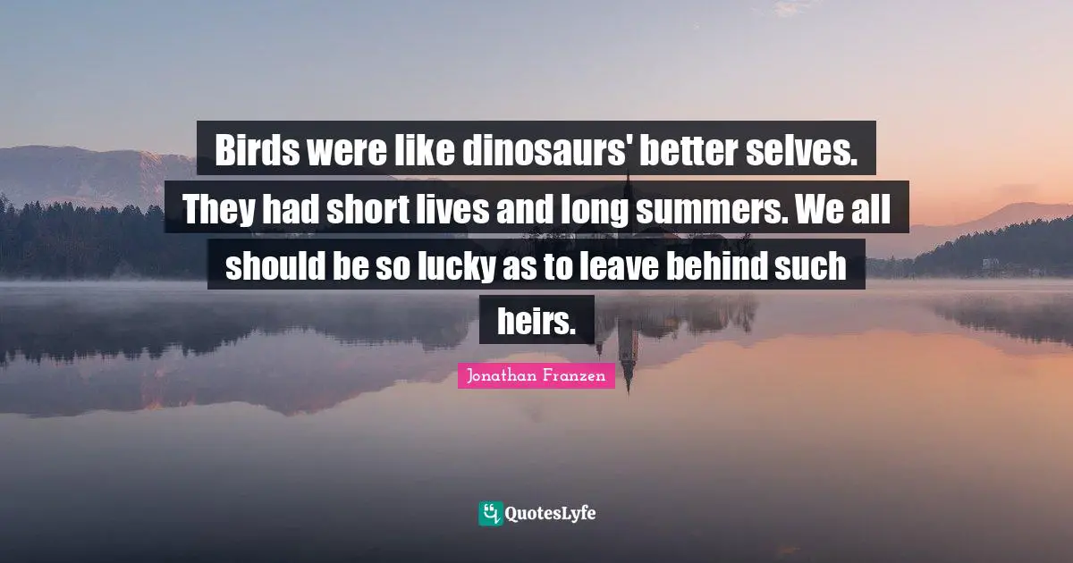 Birds were like dinosaurs' better selves. They had short lives and long summers. We all should be so lucky as to leave behind such heirs.