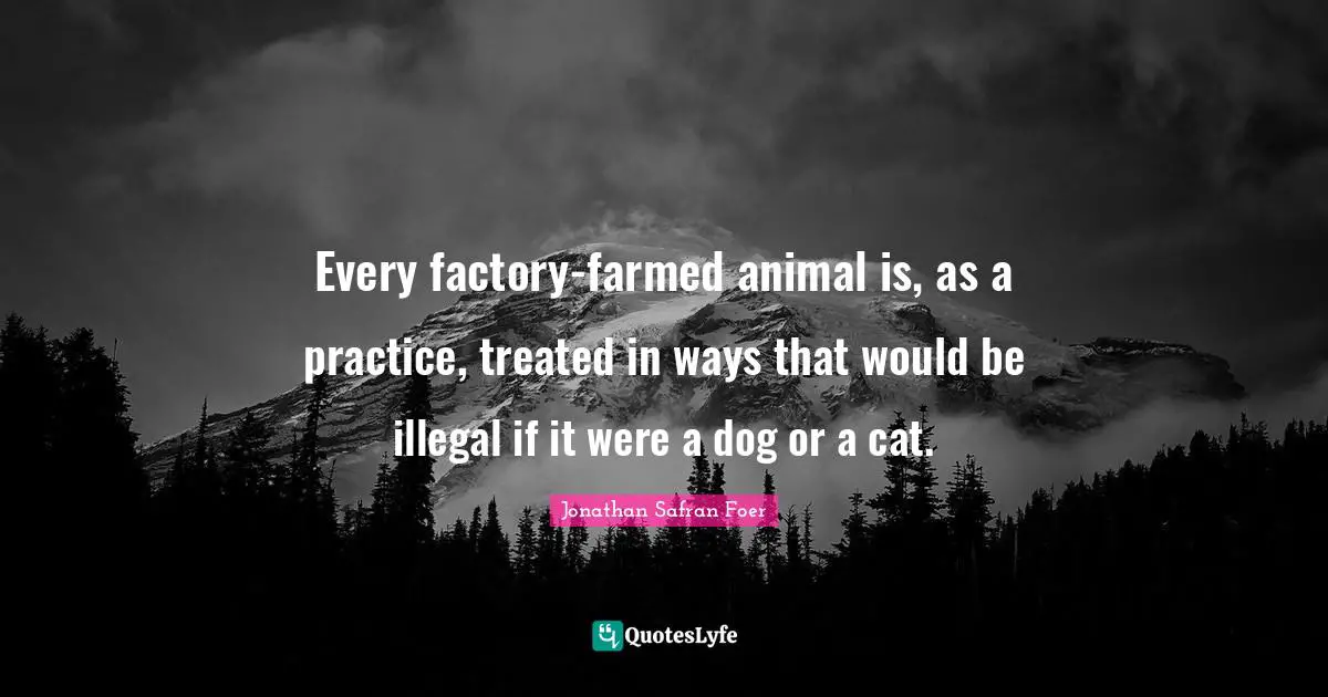 Every factory-farmed animal is, as a practice, treated in ways that would be illegal if it were a dog or a cat.