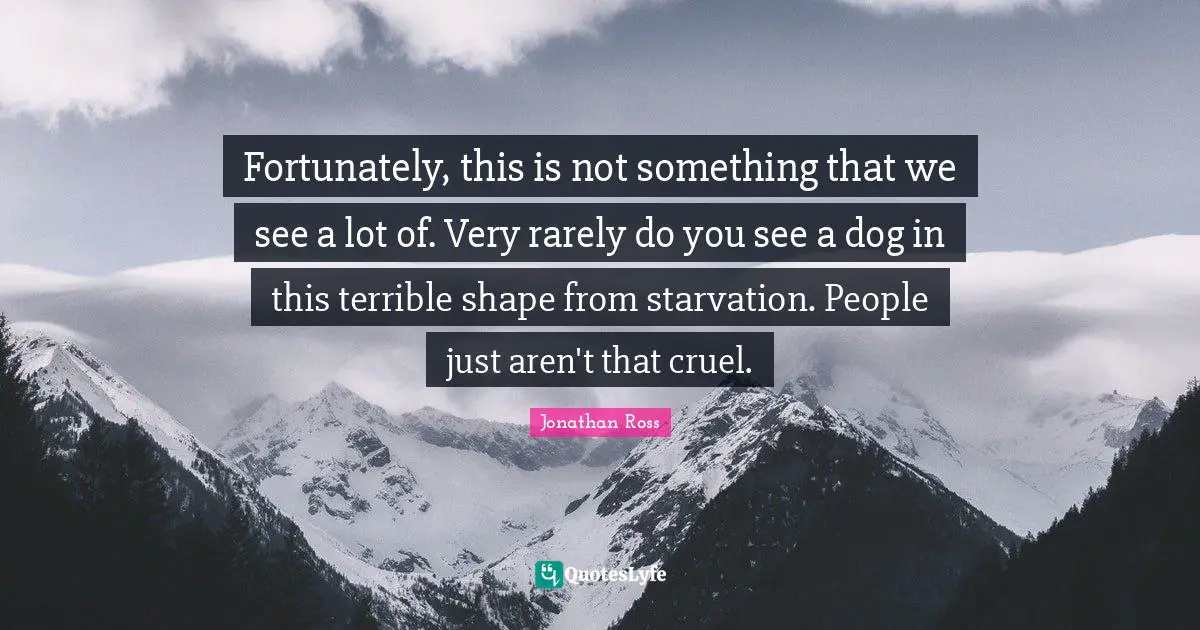 Fortunately, this is not something that we see a lot of. Very rarely do you see a dog in this terrible shape from starvation. People just aren't that cruel.