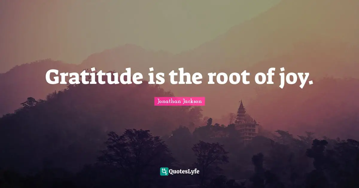 Gratitude is the root of joy.