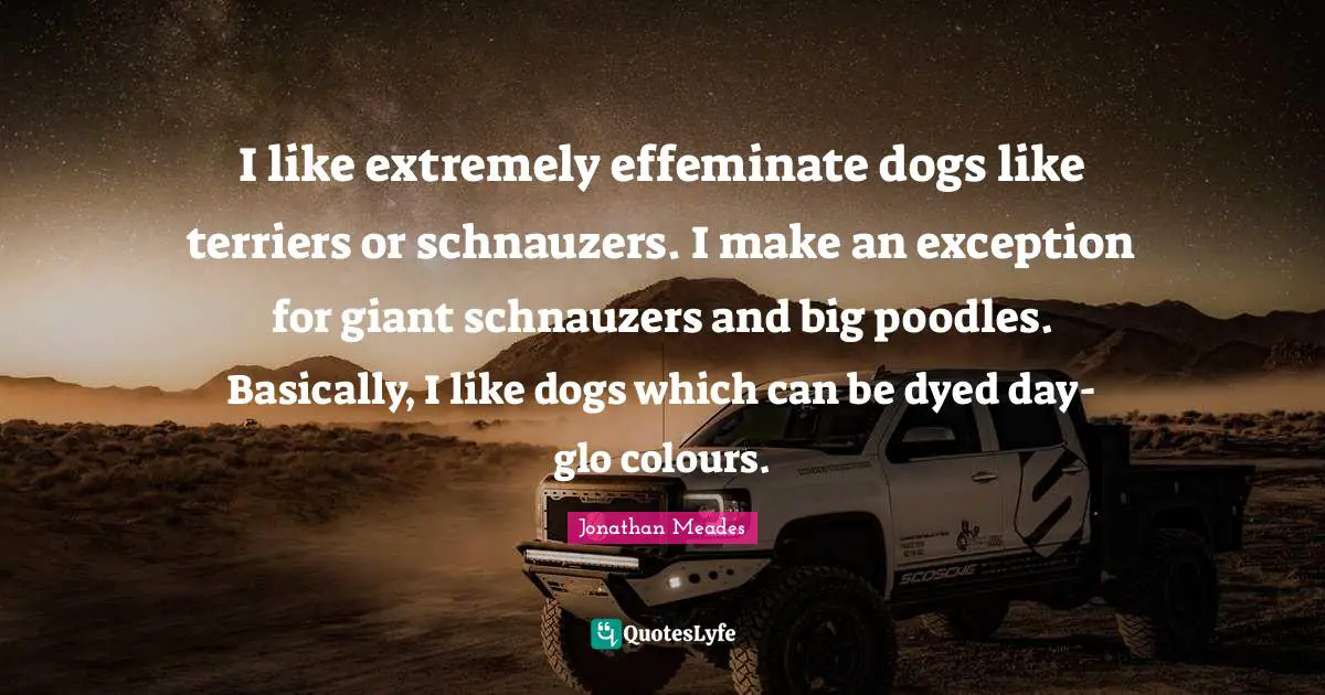 I like extremely effeminate dogs like terriers or schnauzers. I make an exception for giant schnauzers and big poodles. Basically, I like dogs which can be dyed day-glo colours.