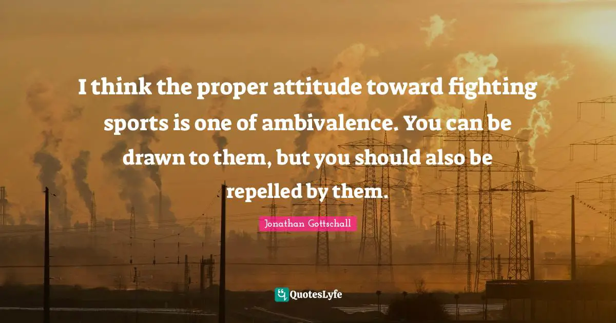 I think the proper attitude toward fighting sports is one of ambivalence. You can be drawn to them, but you should also be repelled by them.