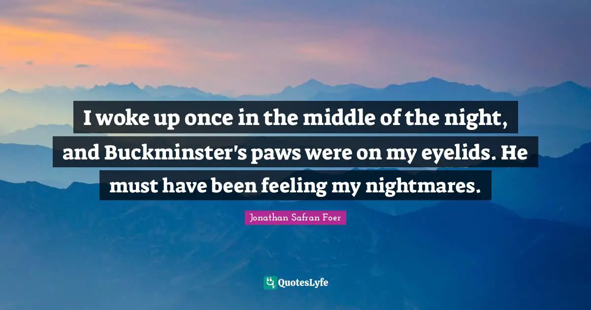 I woke up once in the middle of the night, and Buckminster's paws were on my eyelids. He must have been feeling my nightmares.