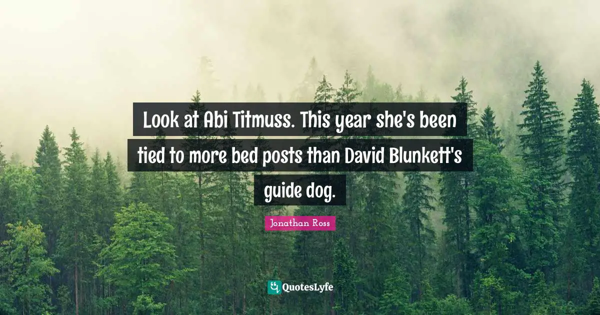 Look at Abi Titmuss. This year she's been tied to more bed posts than David Blunkett's guide dog.