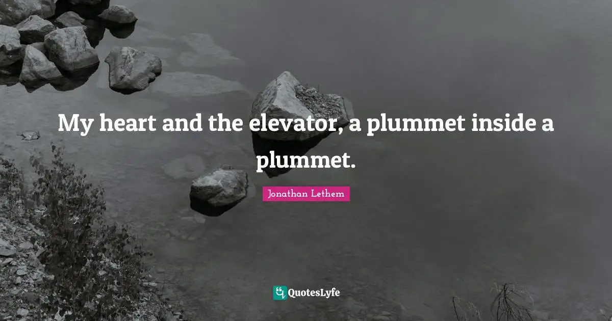My heart and the elevator, a plummet inside a plummet.