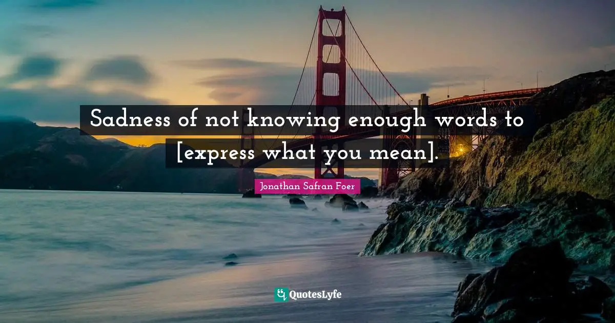 Sadness of not knowing enough words to [express what you mean].
