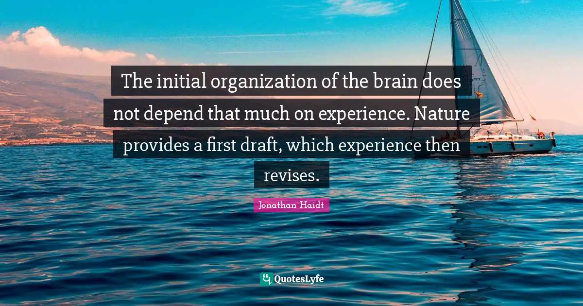 The initial organization of the brain does not depend that much on experience. Nature provides a first draft, which experience then revises.