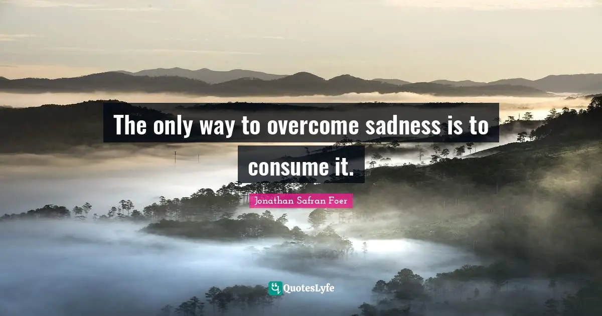 The only way to overcome sadness is to consume it.