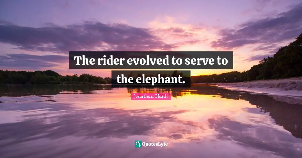 The rider evolved to serve to the elephant.