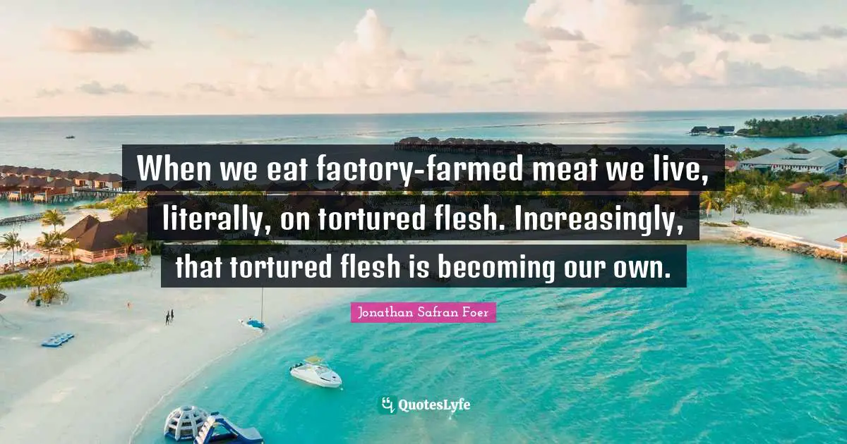 When we eat factory-farmed meat we live, literally, on tortured flesh. Increasingly, that tortured flesh is becoming our own.