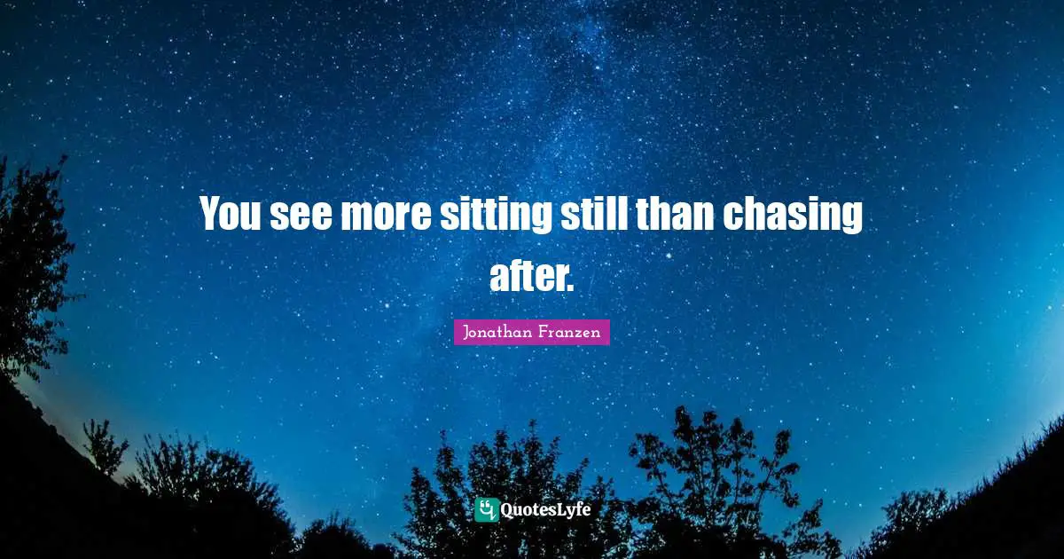 Jonathan Franzen Quotes: "You see more sitting still than chasing after."