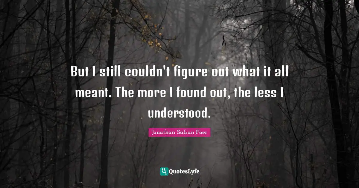 But I still couldn't figure out what it all meant. The more I found out, the less I understood.