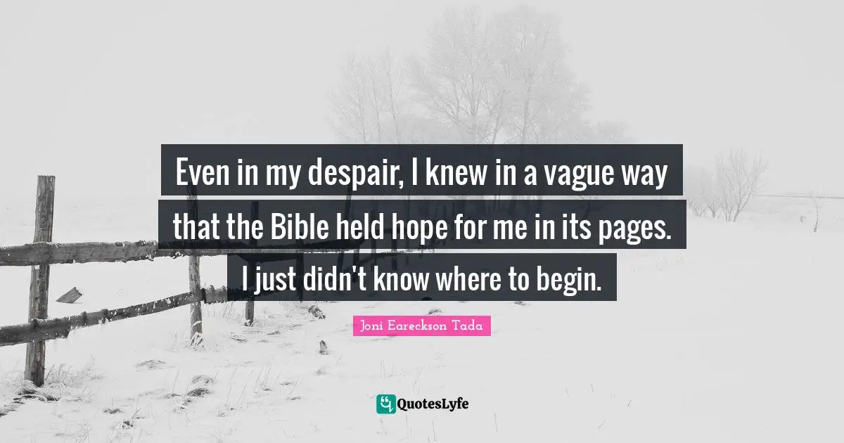Even in my despair, I knew in a vague way that the Bible held hope for me in its pages. I just didn't know where to begin.
