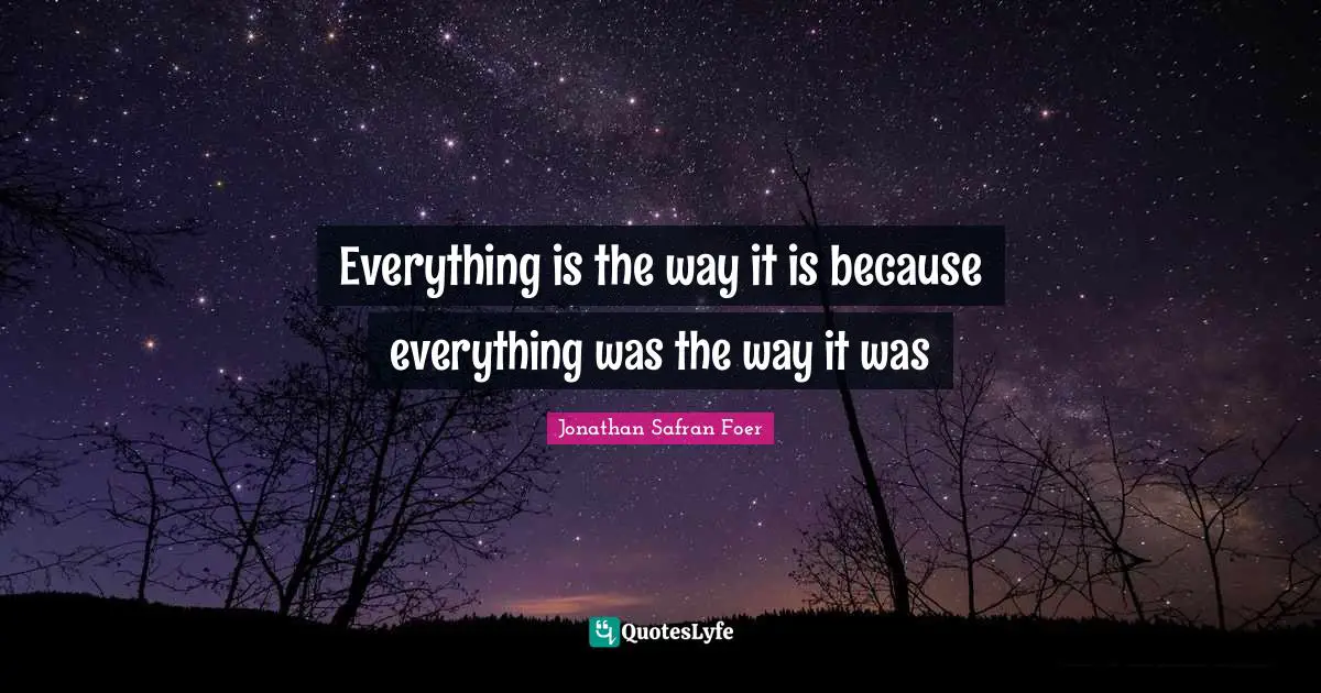 Everything is the way it is because everything was the way it was