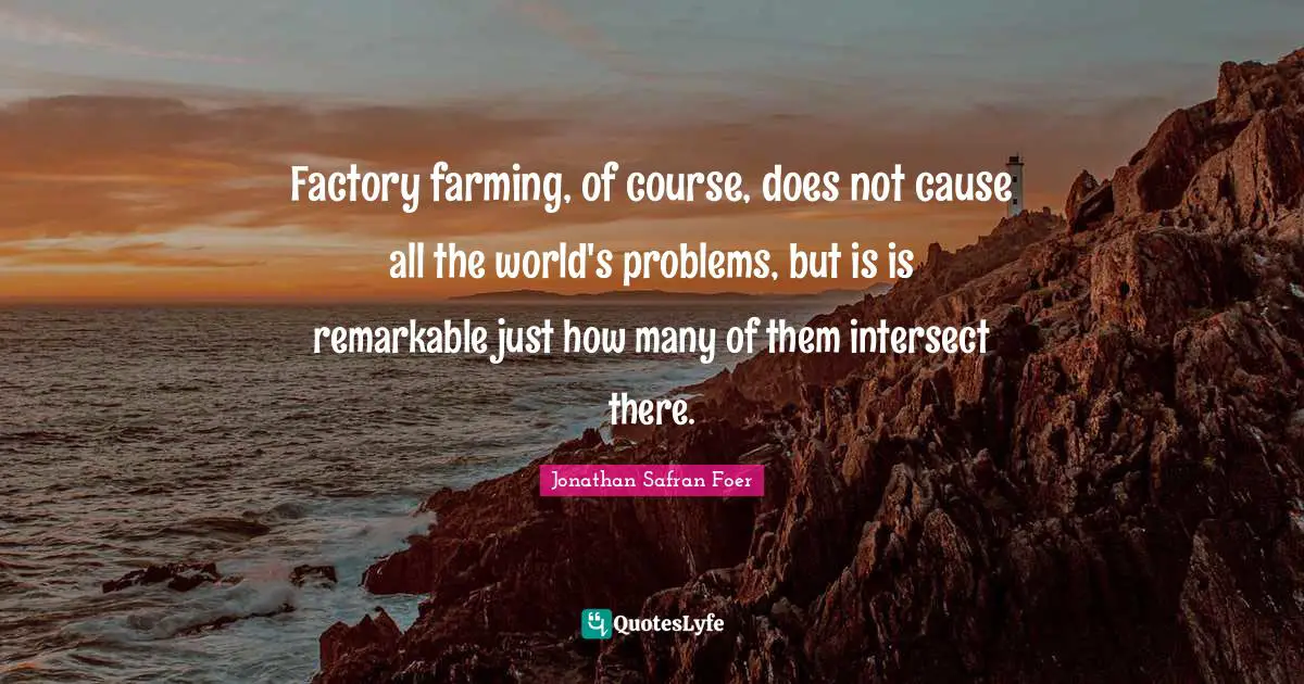 Factory farming, of course, does not cause all the world's problems, but is is remarkable just how many of them intersect there.