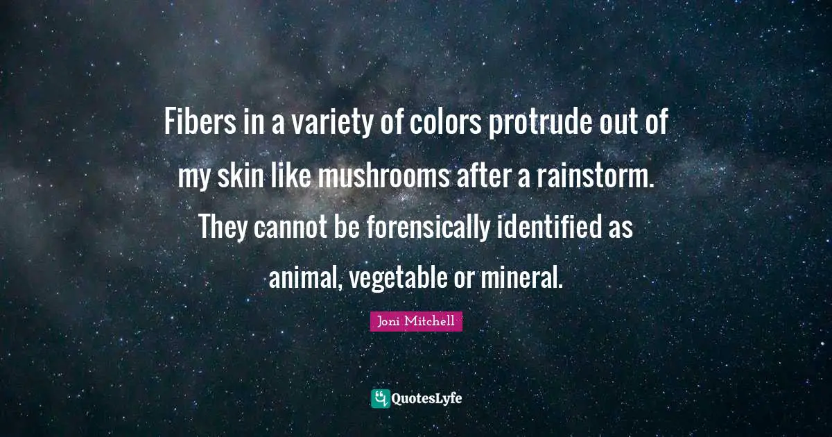 Fibers in a variety of colors protrude out of my skin like mushrooms after a rainstorm. They cannot be forensically identified as animal, vegetable or mineral.