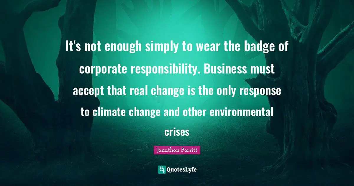 It's not enough simply to wear the badge of corporate responsibility. Business must accept that real change is the only response to climate change and other environmental crises