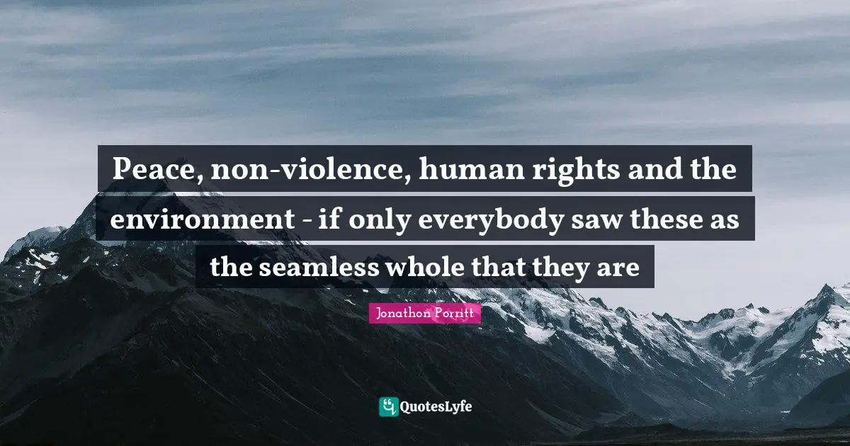 Seamless Quotes: "Peace, non-violence, human rights and the environment - if only everybody saw these as the seamless whole that they are"
