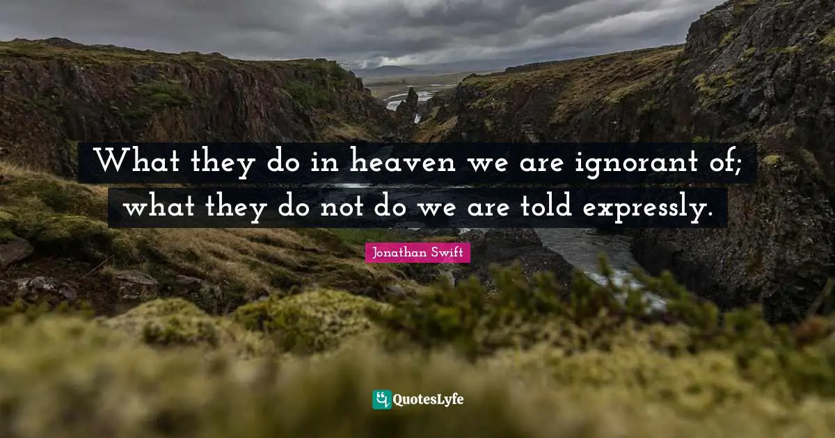 What they do in heaven we are ignorant of; what they do not do we are told expressly.
