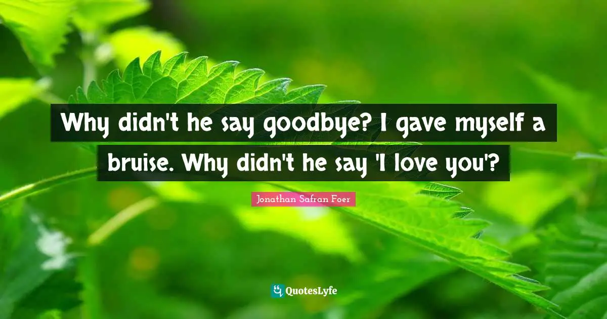 Bruises Quotes: "Why didn't he say goodbye? I gave myself a bruise. Why didn't he say 'I love you'?"