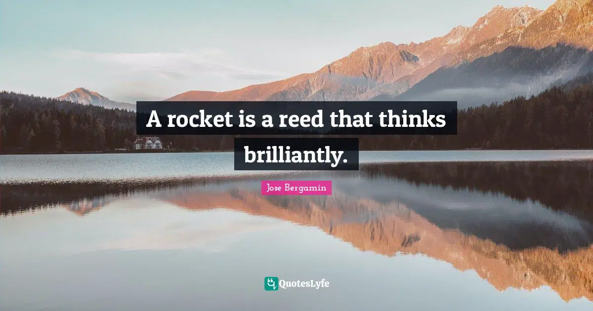 A rocket is a reed that thinks brilliantly.