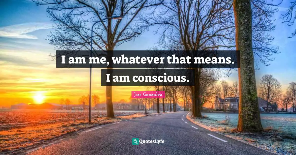 I am me, whatever that means. I am conscious.