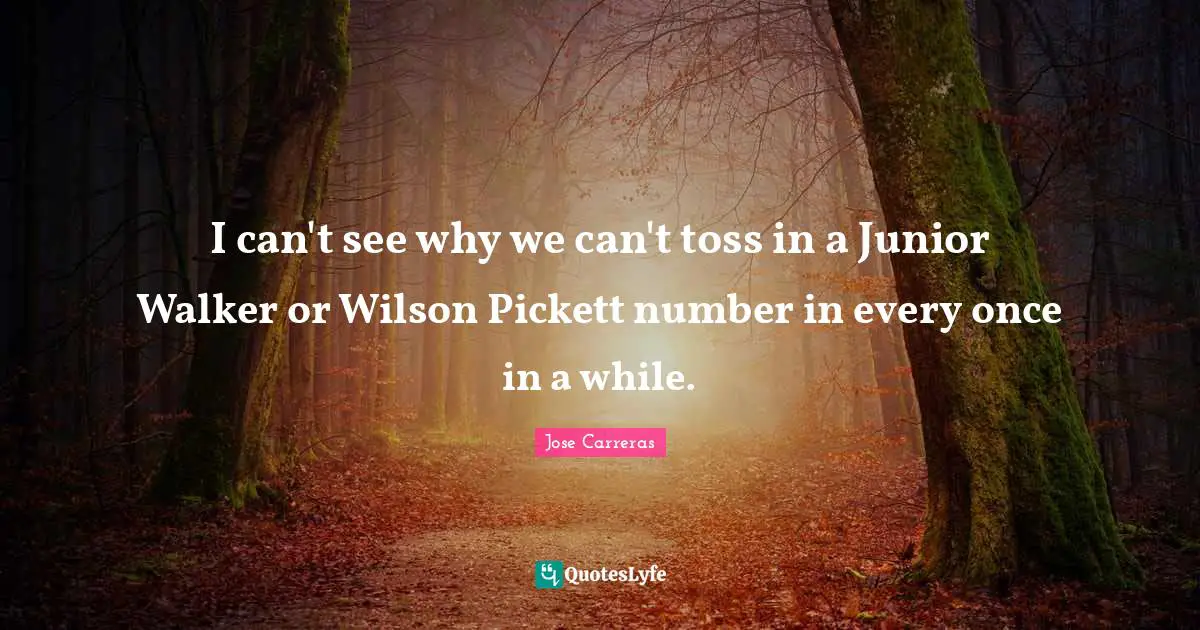I can't see why we can't toss in a Junior Walker or Wilson Pickett number in every once in a while.